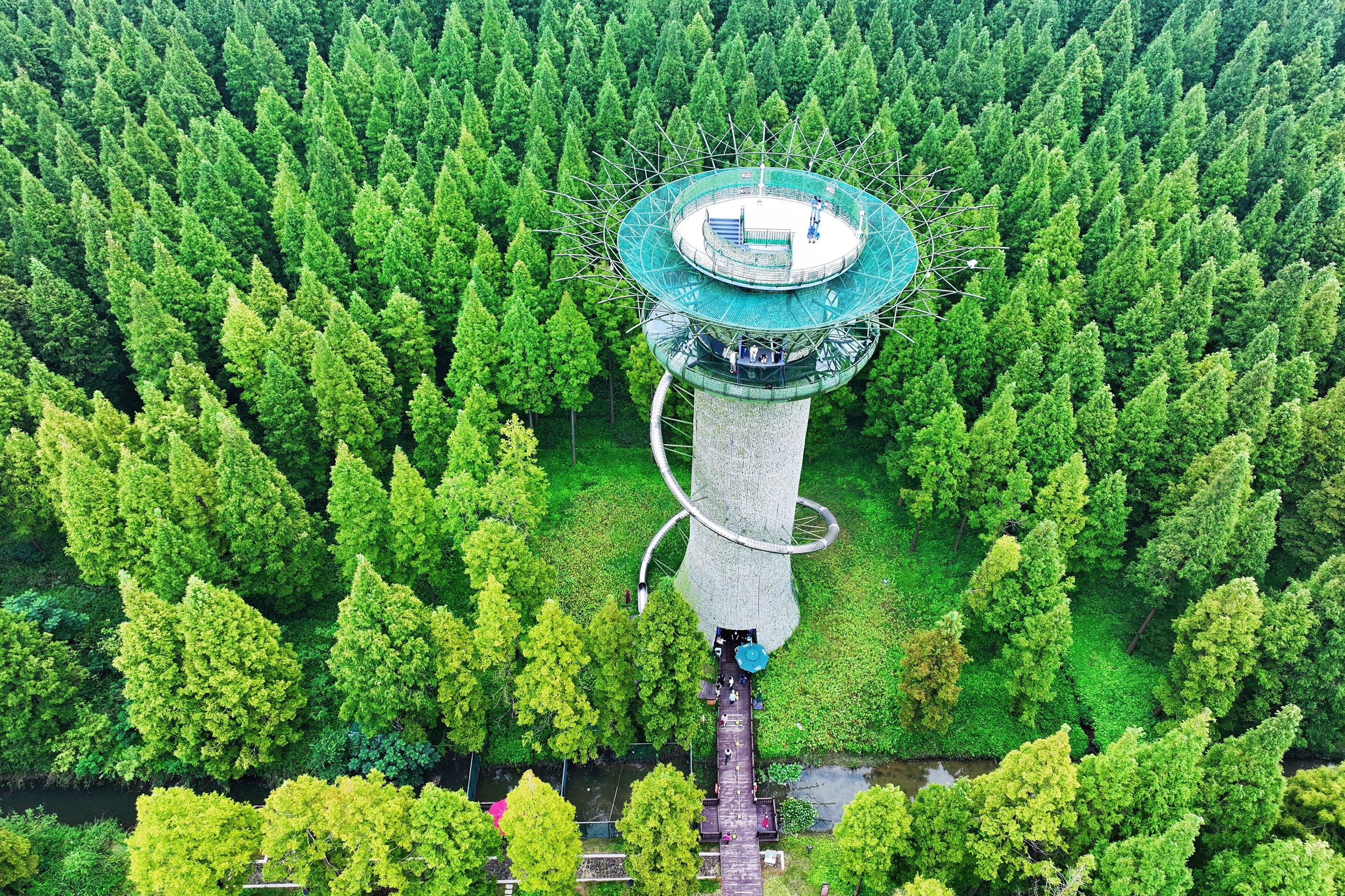 Yellow Sea Forest Park
